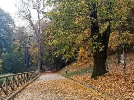 Проведите незабываемый день на природе в лучших парках Турина: от парка Валентино до Суперга. Планируйте ваш идеальный отдых на открытом воздухе с нашим гидом по самым красивым местам природы Турина.