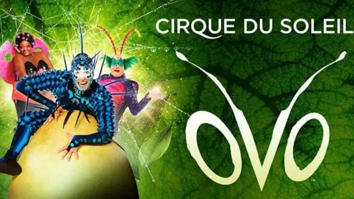Цирк дю Солей в Турине в 2023