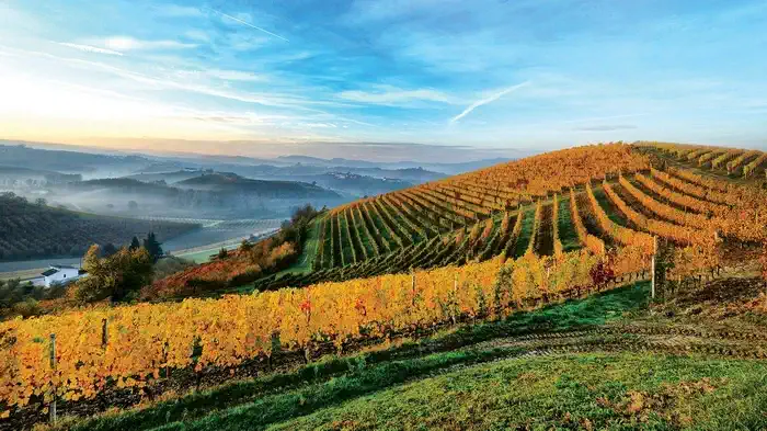 Ланге и Роэро, как отмечает ЮНЕСКО, являются «исключительным живым свидетельством исторической традиции выращивания винограда