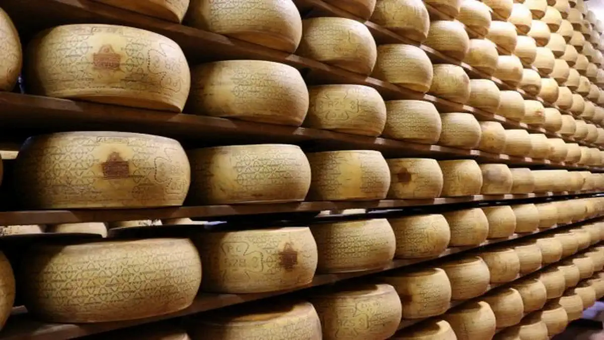 Грана Падано - это твердый, выдержанный сыр