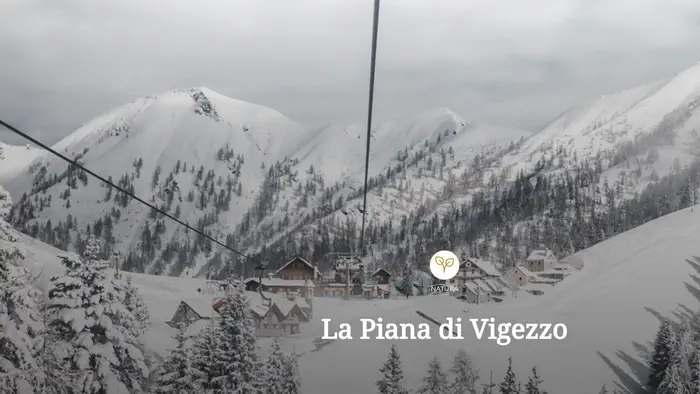 Волшебство Зимы в Пьяна-ди-Виджеццо: Незабываемые Горнолыжные Прогулки