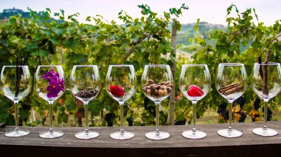 Замечательные вина Ланге Пьемонте Италия